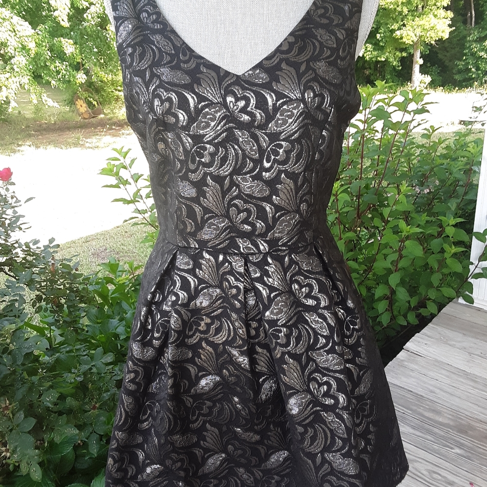Adorable Matalic fit and flare black and silver dress
